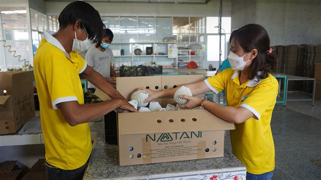 Xung lực mới trong quan hệ thương mại Việt Nam-Singapore ảnh 2