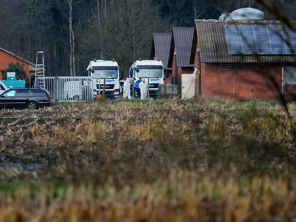 Phát hiện virus cúm gia cầm H5N8 tại bang thứ hai ở Đức ảnh 1