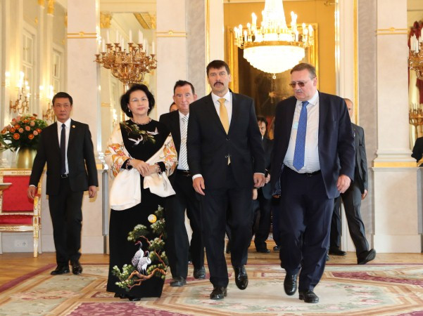 Chủ tịch Quốc hội Nguyễn Thị Kim Ngân hội kiến Tổng thống Hungary ảnh 1