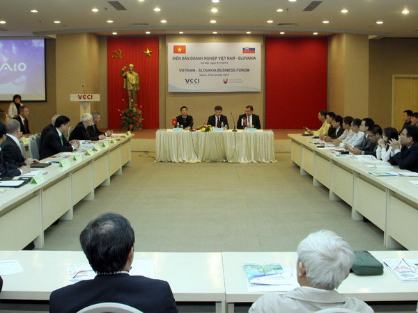 Slovakia muốn hợp tác về năng lượng, công nghệ với Việt Nam ảnh 1