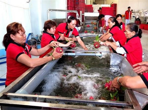 Nông nghiệp Việt đặt mục tiêu xuất khẩu hơn 42 tỷ USD vào năm 2020 ảnh 2