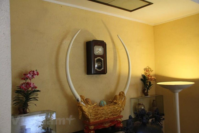 Buôn bán trái phép động vật hoang dã - Những hệ lụy đáng báo động ảnh 1