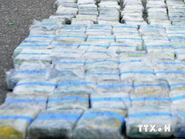 Bồ Đào Nha bắt giữ đối tượng vận chuyển lượng cocaine lớn ảnh 1