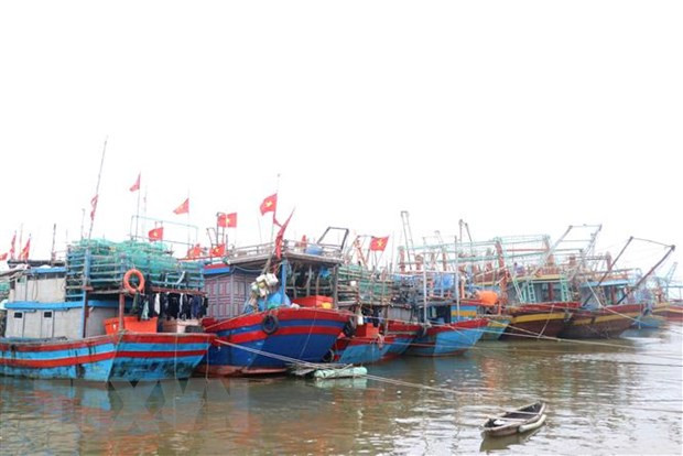 Bão số 9 di chuyển nhanh hướng Tây Tây Bắc, cách đảo Song Tử Tây 200km ảnh 1