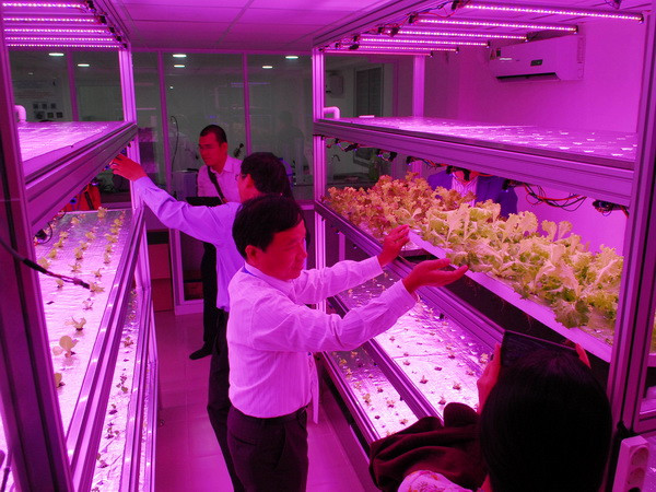 Phòng thí nghiệm sử dụng chiếu sáng LED cho nuôi hoa màu, hoa quả tại trung tâm. (Ảnh: Mạnh Linh/TTXVN) Khai mạc Hội thảo khoa học quốc tế Việt Nam học lần thứ 5 ảnh 1