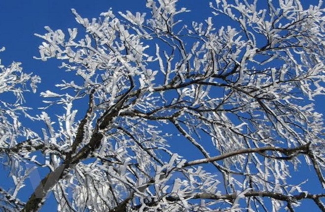 Bắc Bộ có khả năng xảy ra băng giá và xuất hiện mưa tuyết ảnh 1