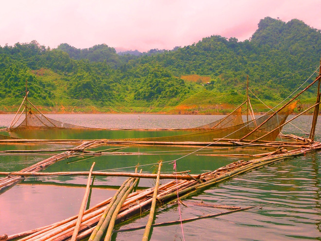 Tận diệt thủy sản không thương tiếc ở hồ thủy điện Tuyên Quang ảnh 1
