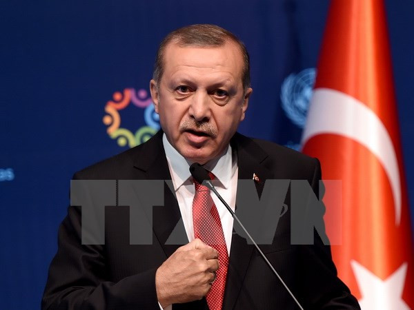 Thổ Nhĩ Kỳ chỉ trích ông Obama về quan hệ nước này với Mỹ ảnh 1