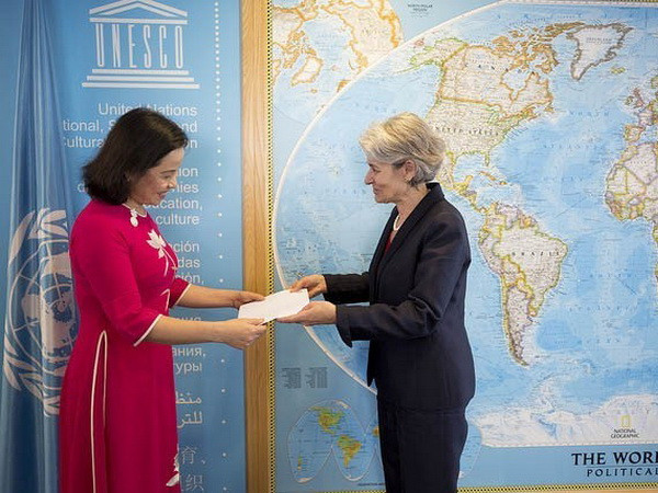 UNESCO đánh giá cao mối quan hệ ngày càng bền vững với Việt Nam ảnh 1