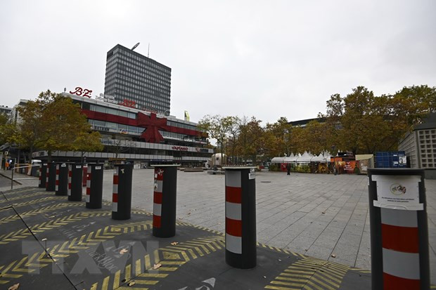 Lợi ích kinh tế của Đức sau chiến lược Ấn Độ Dương-Thái Bình Dương ảnh 1