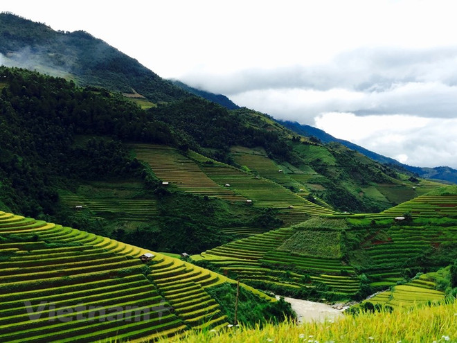 Mù Cang Chải: Vẻ đẹp say lòng du khách giữa núi rừng Tây Bắc ảnh 7