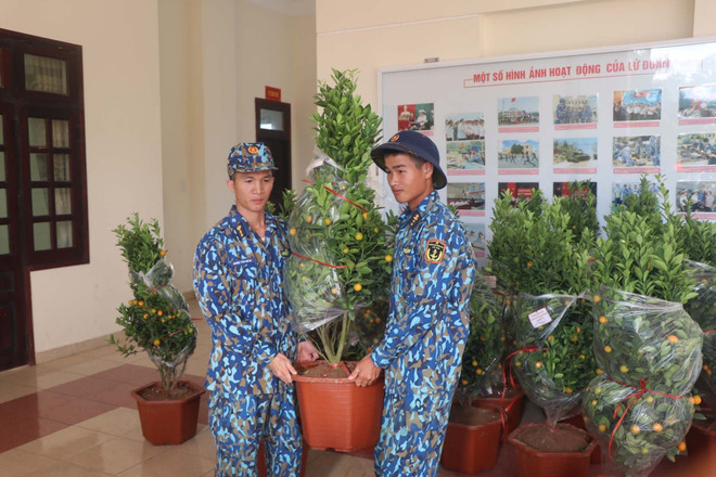 Những chậu quất Tết đã được vận chuyển đến với quân và dân Trường Sa. (Ảnh: Nguyễn Văn Nhật/TTXVN) Sức xuân nơi đầu sóng: Đón Tết ở vùng biển đảo thiêng liêng Trường Sa ảnh 1