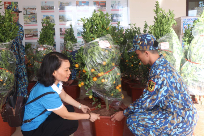 Những chậu quất Tết đã được vận chuyển đến với quân và dân Trường Sa. (Ảnh: Nguyễn Văn Nhật/TTXVN) Sức xuân nơi đầu sóng: Đón Tết ở vùng biển đảo thiêng liêng Trường Sa ảnh 2