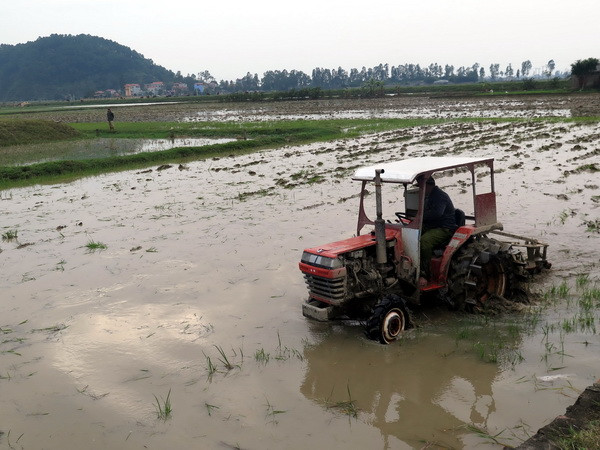 Dừng đợt 2 lấy nước phục vụ gieo cấy lúa vụ Đông Xuân 2015-2016 ảnh 1