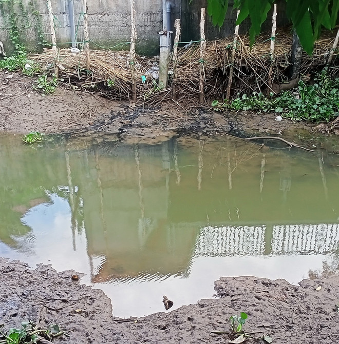 ttxvn_che bien ca dong thap (1).jpg