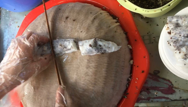 Khám phá bánh cuốn - một trong những món ngon hàng đầu thế giới ảnh 1