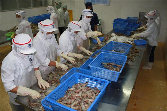 Nhật báo Trung Quốc: Kinh tế Việt Nam trước những thách thức mới ảnh 1