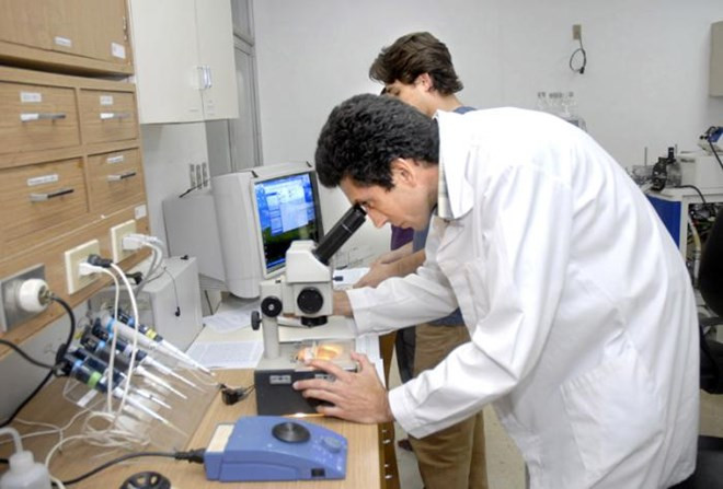 Trung Quốc và Cuba khởi công xây khu công nghệ sinh học ảnh 1