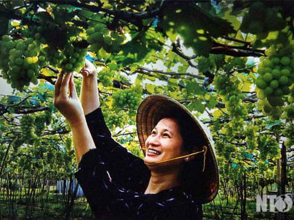 Triển lãm ảnh nghệ thuật "Ninh Thuận - Một vùng đất quyến rũ" ảnh 1