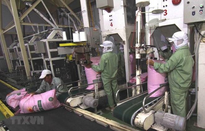 Senegal mở lại không phận tạo cơ hội giao thương tích cực với Việt Nam ảnh 1