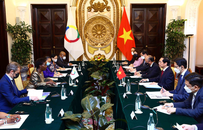 Bộ trưởng Bùi Thanh Sơn hội đàm với Tổng Thư ký Tổ chức Pháp ngữ ảnh 2