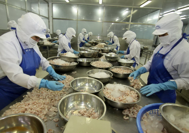 Việt Nam khó đạt mục tiêu tăng trưởng xuất khẩu 10% năm 2016 ảnh 3