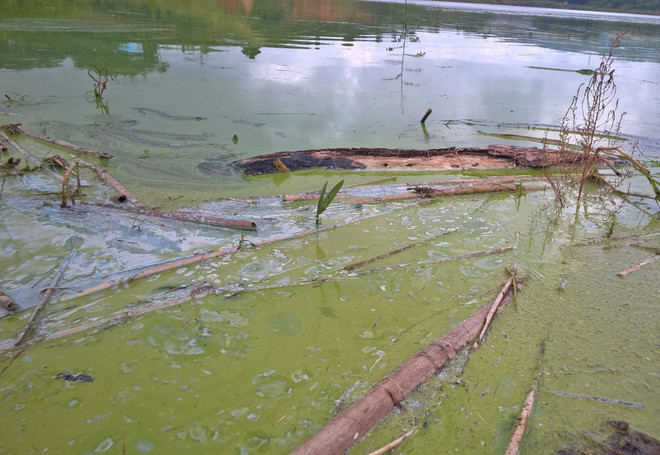 5 lĩnh vực bị vi phạm lớn nhất trong ngành tài nguyên, môi trường ảnh 4
