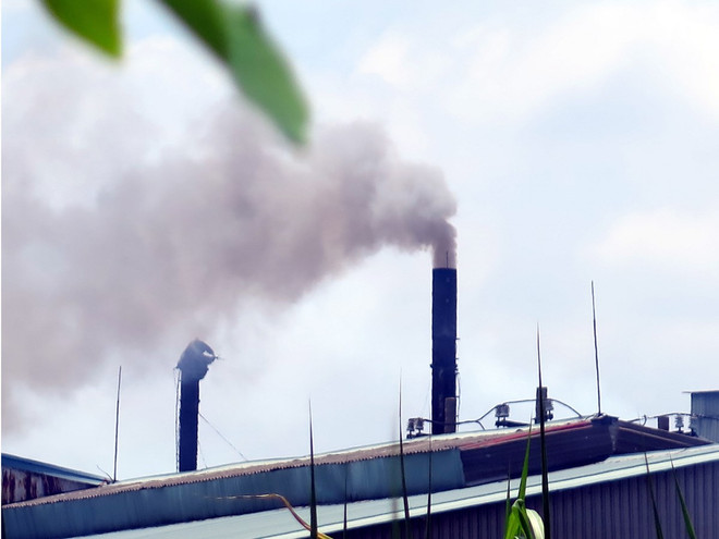 5 lĩnh vực bị vi phạm lớn nhất trong ngành tài nguyên, môi trường ảnh 2