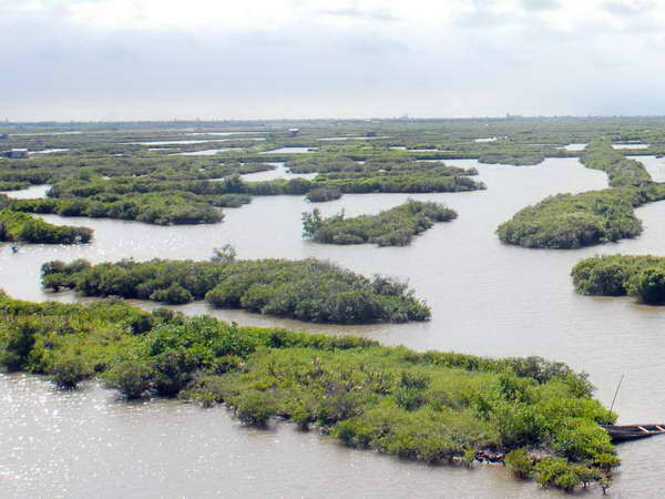 Xây dựng cơ sở dữ liệu về đa dạng sinh học quốc gia ảnh 1