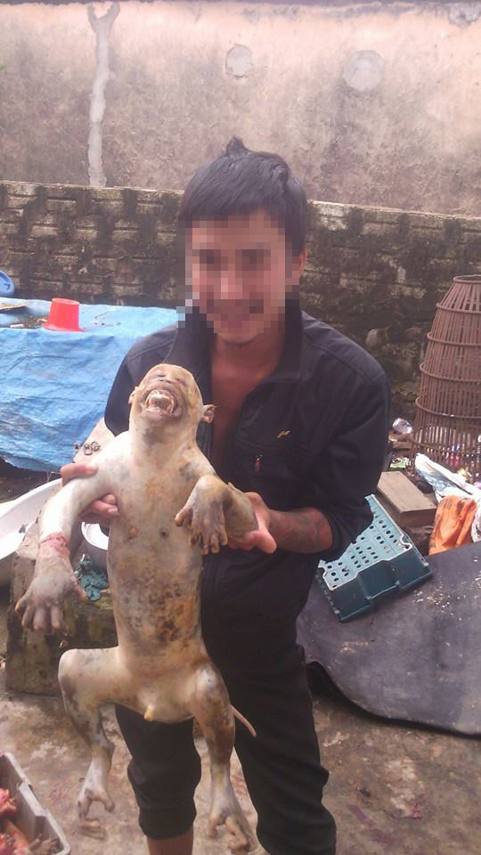 Kinh hoàng một thanh niên giết hại khỉ dã man rồi khoe ảnh trên mạng ảnh 5