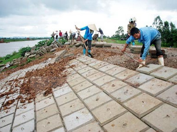 10 sự kiện khoa học và công nghệ nổi bật trong năm 2015 ảnh 7