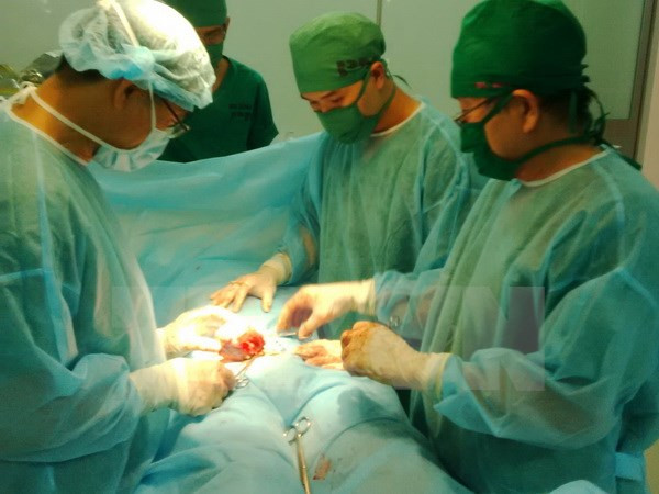 10 sự kiện khoa học và công nghệ nổi bật trong năm 2015 ảnh 6