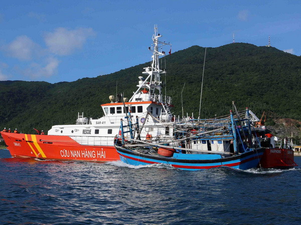 Điều tra vụ tàu cá Bình Định bị tàu lạ đâm chìm ở Biển Đông ảnh 1