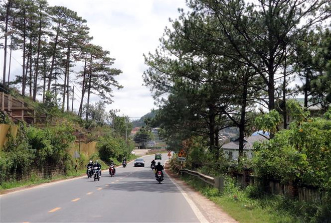 Phân luồng giao thông trên đèo Mimosa và đèo Bảo Lộc dịp nghỉ lễ 30/4 ảnh 1