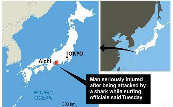 Khâu tới 30 mũi vì bị cá mập tấn công khi đang lướt sóng ảnh 2