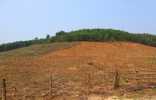 Luật Đất đai (sửa đổi): Bảo vệ, tăng quỹ đất cho đồng bào dân tộc ảnh 3