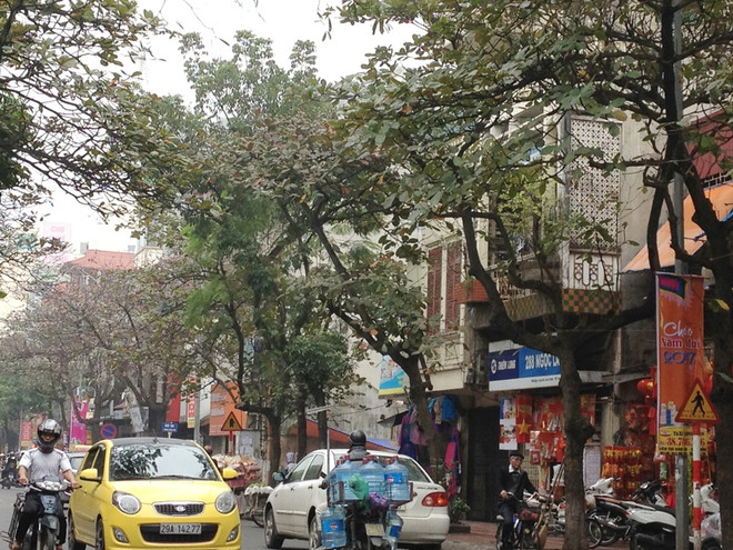 Con cháu chúng ta sẽ ra sao khi Hà Nội vắng mùa Đông? ảnh 1