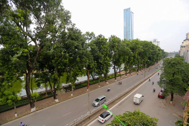 Người Hà Nội và “giấc mơ" về những thảm thực vật xanh ảnh 1