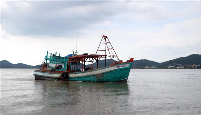 Khắc phục "thẻ vàng" IUU: Xóa đăng ký vĩnh viễn với tàu cá vi phạm ảnh 1