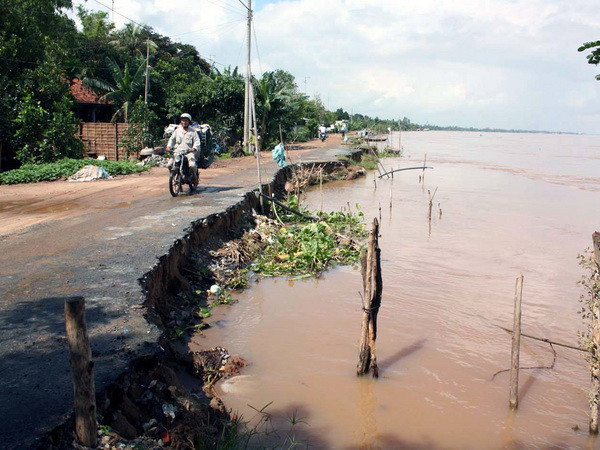 Cần Thơ có 38 điểm bờ sông bị sạt lở, ảnh hưởng tới 200 hộ dân ảnh 1