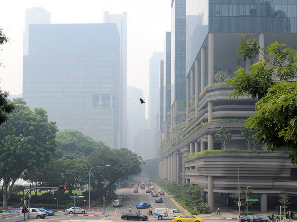 Tăng trưởng kinh tế Singapore cao hơn dự đoán ảnh 1