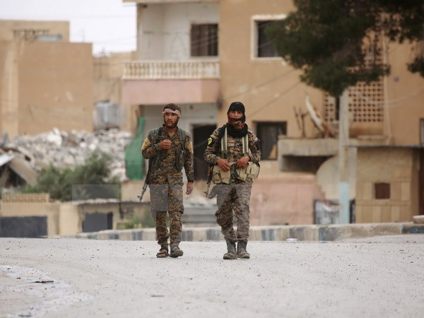 Thổ Nhĩ Kỳ hoan nghênh việc Mỹ thu hồi vũ khí của người Kurd ảnh 1