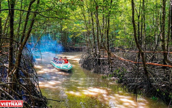 Khám phá đất Mũi Cà Mau - nơi cuối trời cực Nam của Tổ quốc ảnh 2