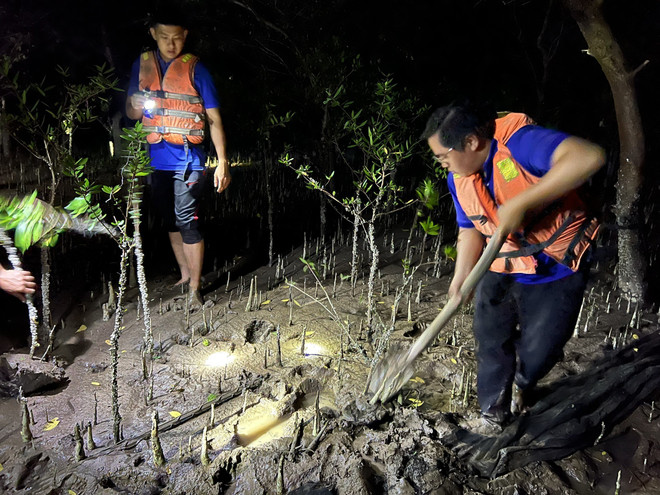 Năm 2023, tỉnh Bến Tre sẽ phát triển thêm 171ha rừng ảnh 1