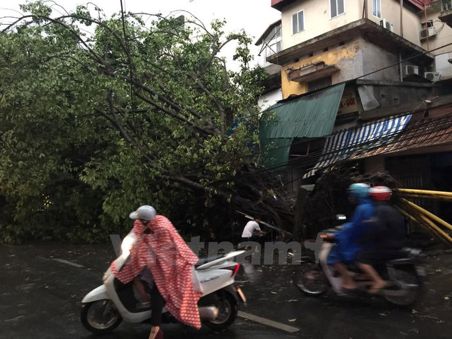 Mưa dông kèm gió giật cấp 6 đã xảy ra tại khu vực phía Tây Hà Nội ảnh 1