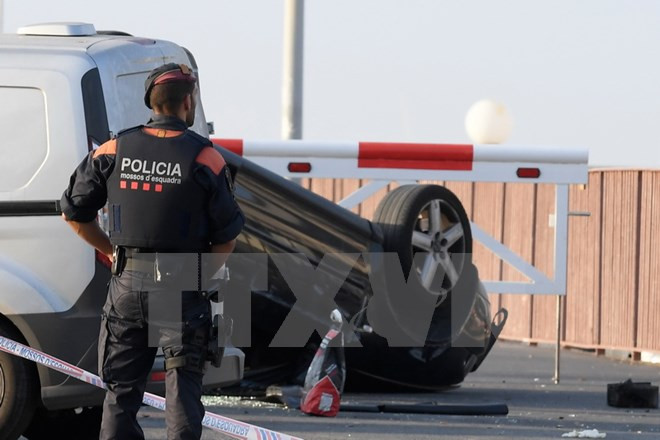 Tổ chức IS thừa nhận thực hiện vụ tấn công thảm khốc ở Cambrils ảnh 1