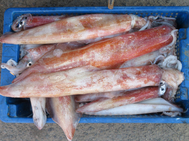 Ninh Thuận: Khám phá nét đẹp chợ quê làng biển bên Đầm Nại ảnh 4