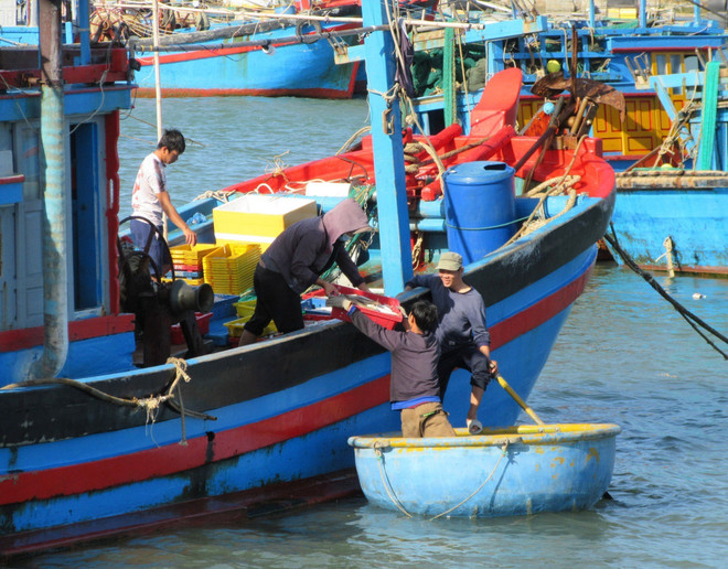 Ninh Thuận: Khám phá nét đẹp chợ quê làng biển bên Đầm Nại ảnh 2