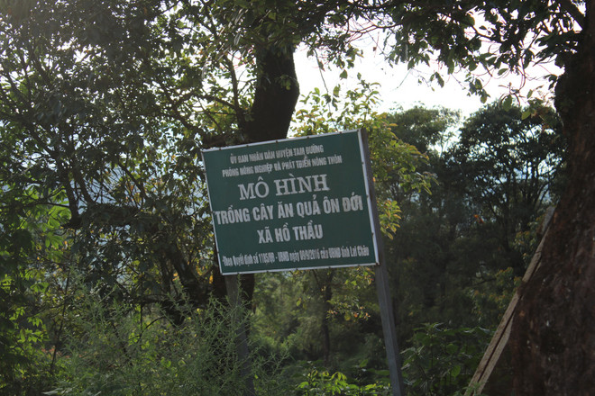 Những bản làng Lai Châu ấm no nhờ phát triển du lịch cộng đồng ảnh 3