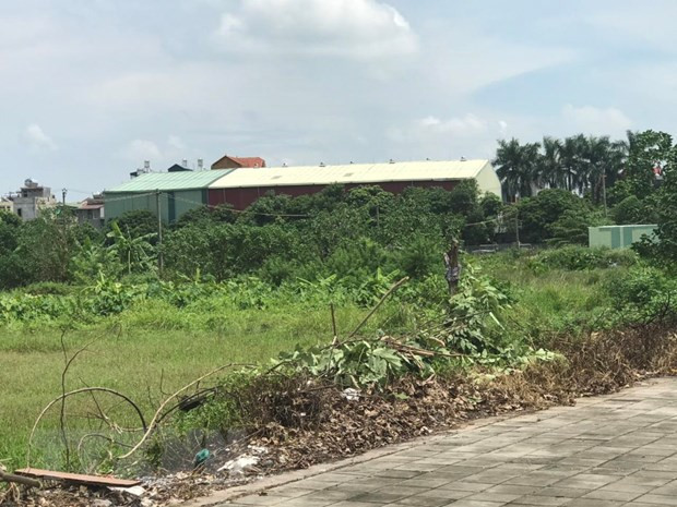 Bình Phước yêu cầu kiểm điểm sai phạm trong quản lý đất đai ảnh 1